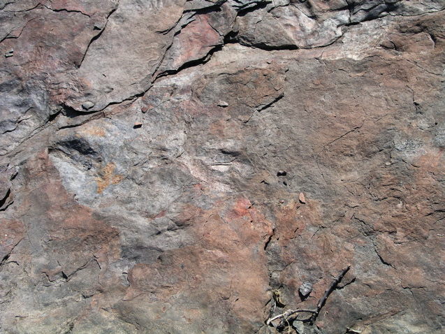 P1010021.JPG