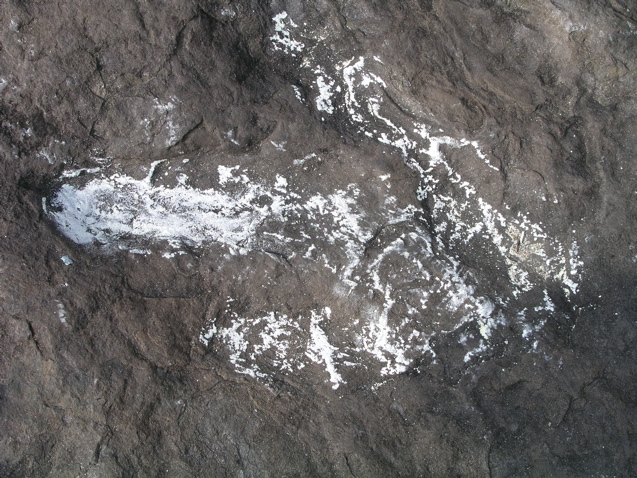 P1010026.JPG