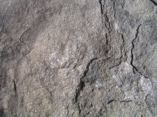 P1010029.JPG