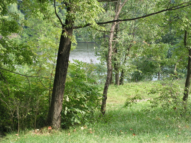P1010030.JPG