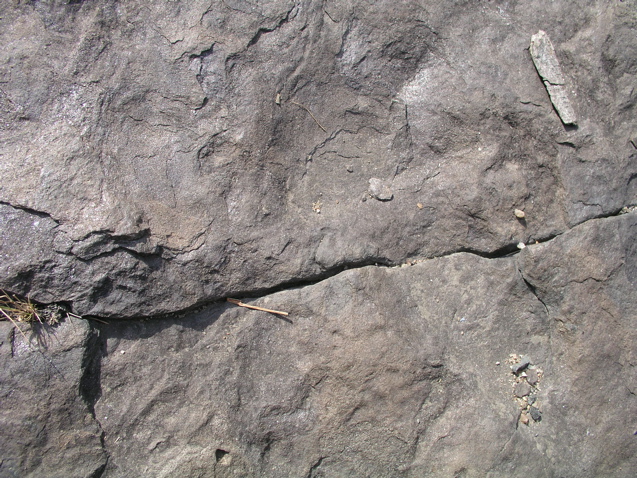 P1010035.JPG