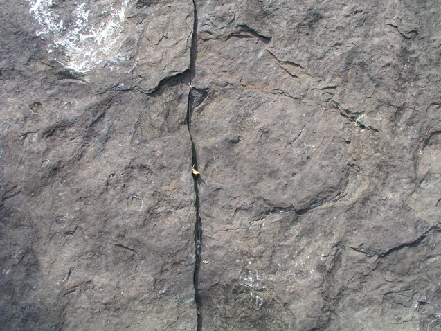 P1010036.JPG