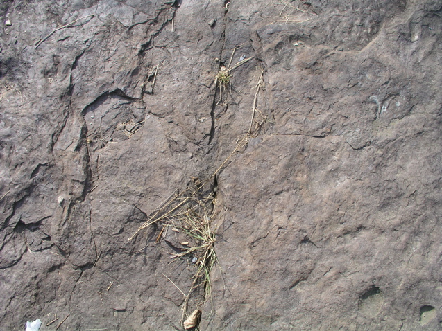 P1010037.JPG