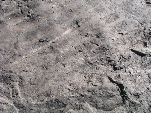 P1010041.JPG