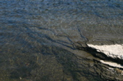 IMG_6787.JPG