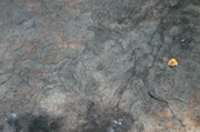 IMG_6789.JPG