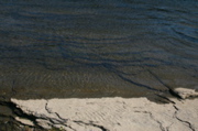 IMG_6773.JPG