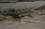 IMG_6793.JPG