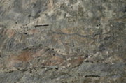 IMG_6794.JPG