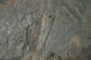 IMG_6775.JPG