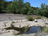 P1010004.JPG