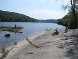 P1010005.JPG