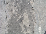 P1010006.JPG