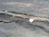 P1010007.JPG