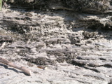 P1010009.JPG