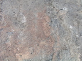 P1010011.JPG