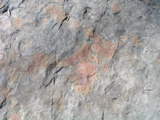 P1010013.JPG