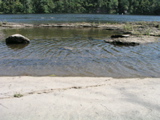 P1010014.JPG
