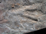 P1010015.JPG