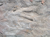 P1010016.JPG
