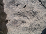 P1010017.JPG