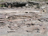 P1010018.JPG