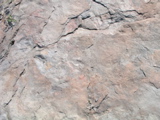 P1010020.JPG