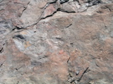 P1010021.JPG