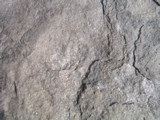 P1010029.JPG