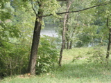 P1010030.JPG