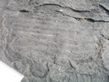 P1010034.JPG