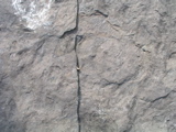 P1010036.JPG