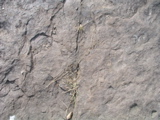 P1010037.JPG