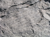 P1010040.JPG