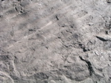 P1010041.JPG