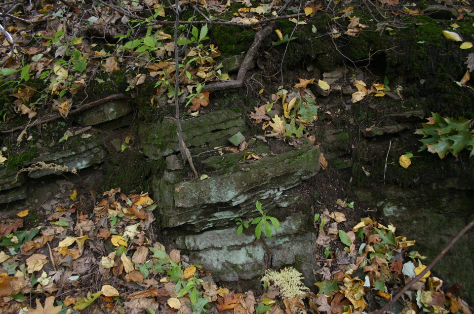 IMG_7274.JPG