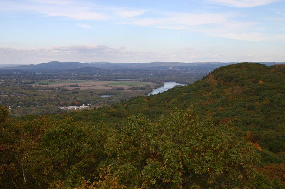 IMG_7299.JPG