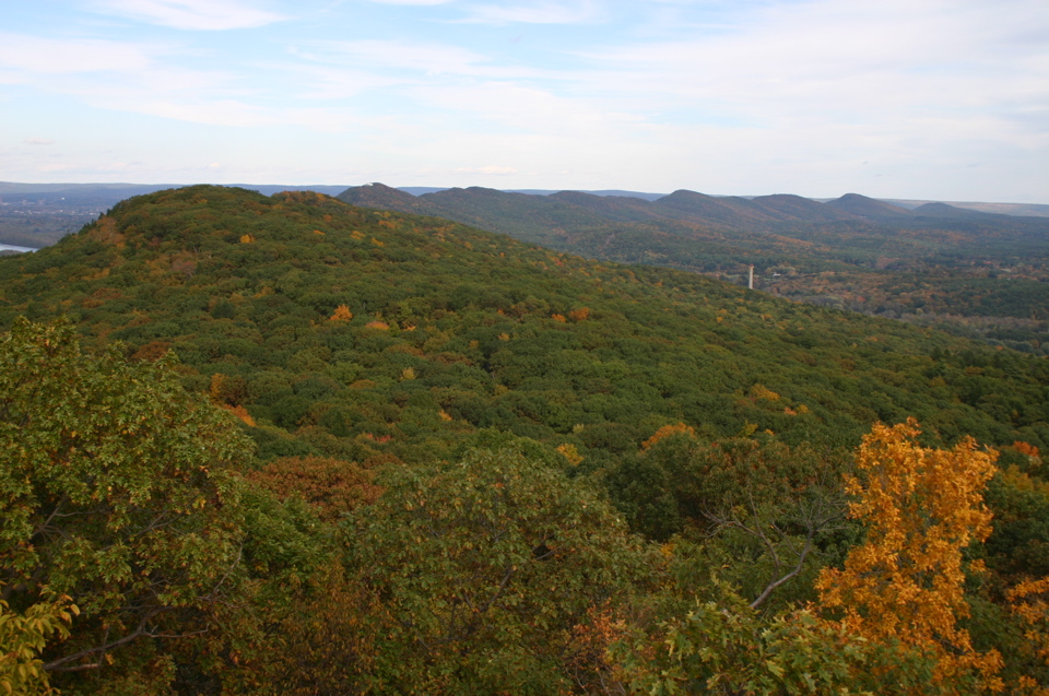IMG_7300.JPG