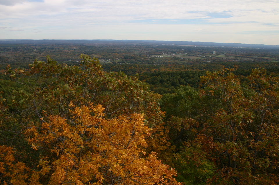 IMG_7301.JPG