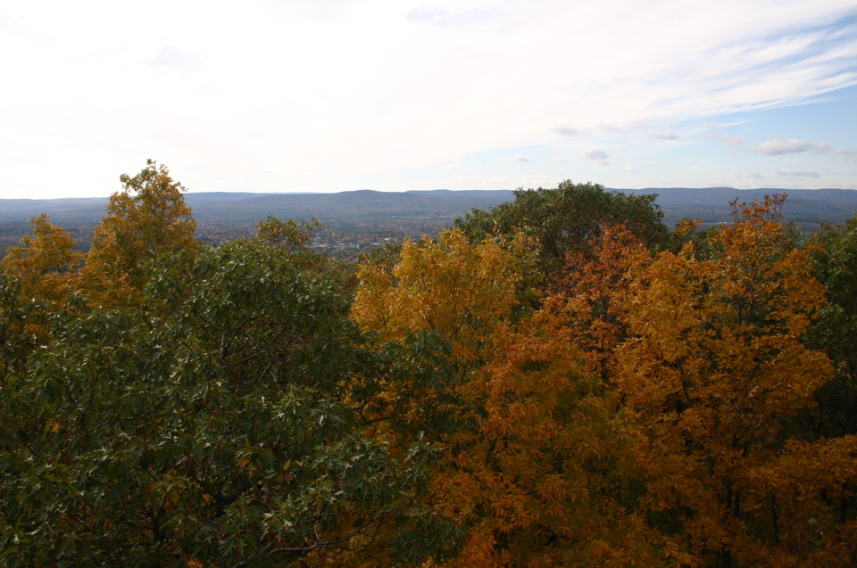 IMG_7303.JPG