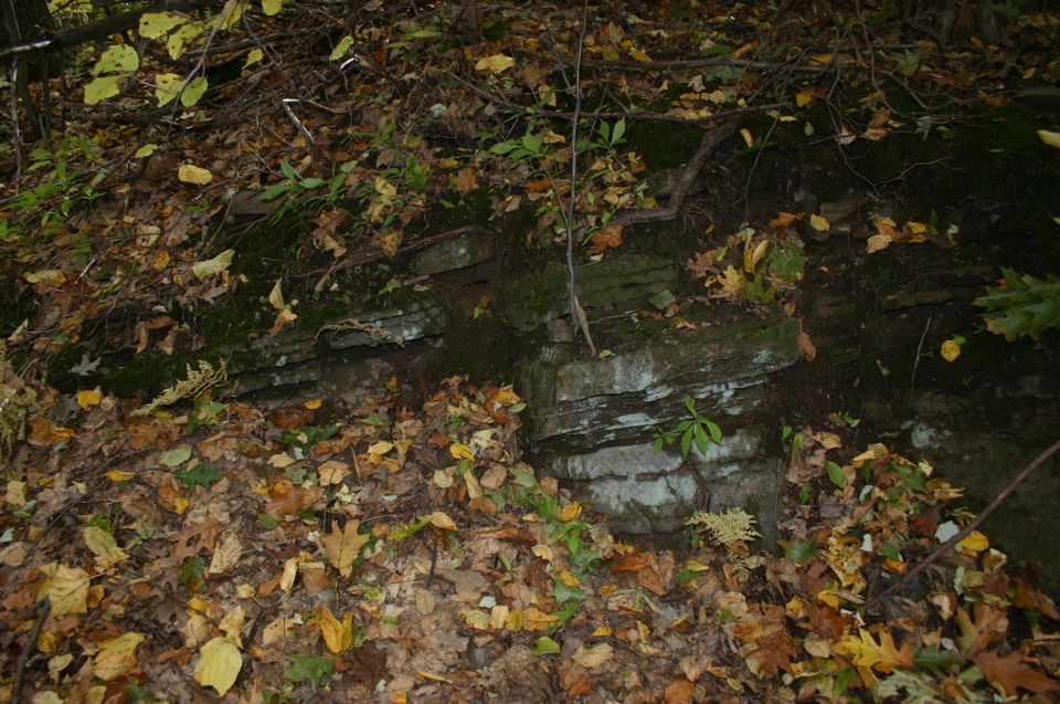 IMG_7275.JPG