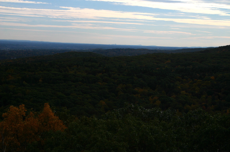 IMG_7308.JPG