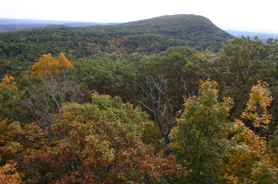 IMG_7314.JPG