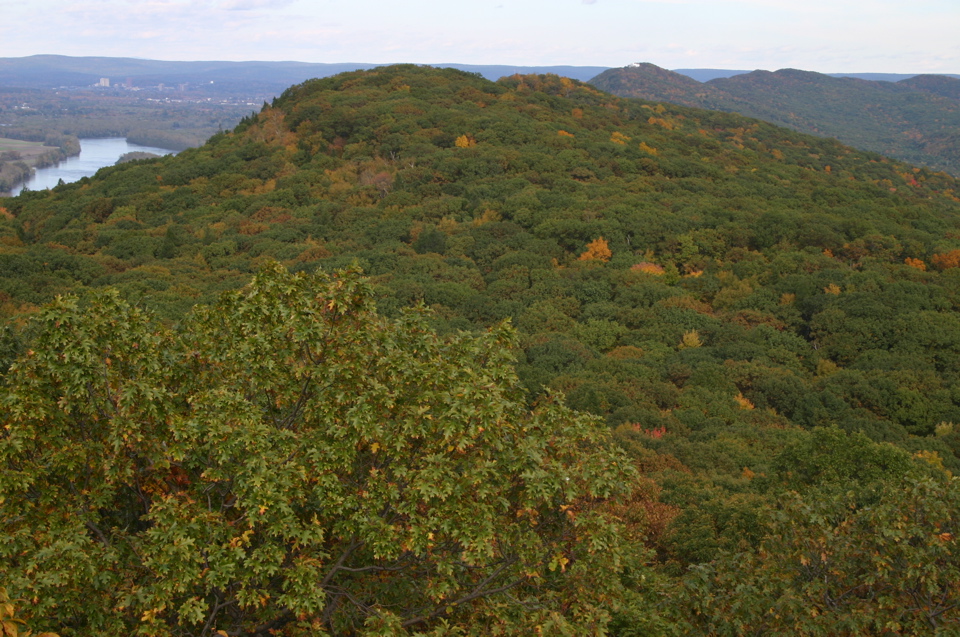 IMG_7316.JPG