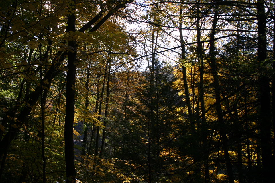 IMG_7327.JPG