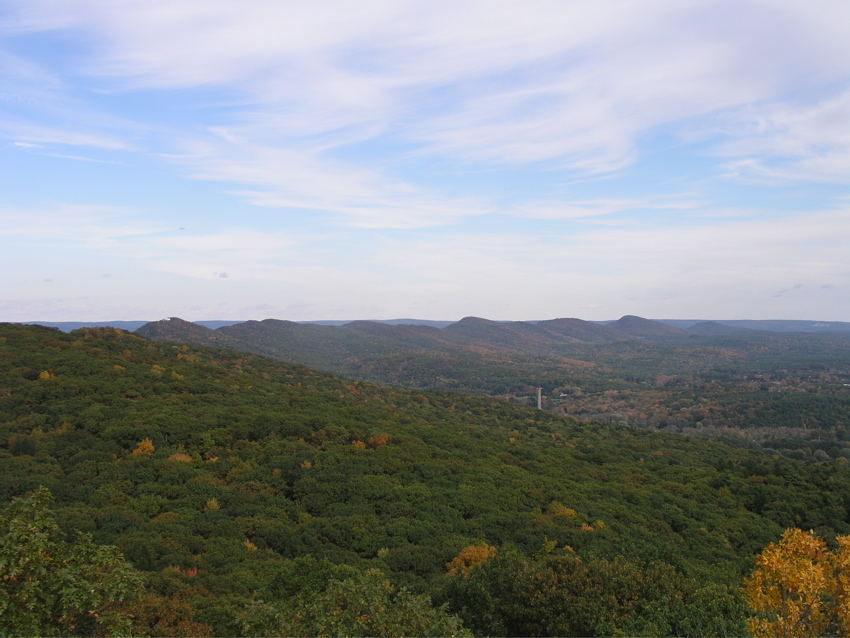 P1010001.JPG