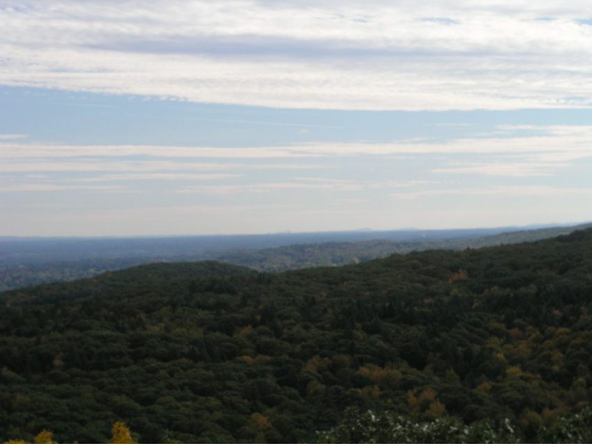 P1010005.JPG