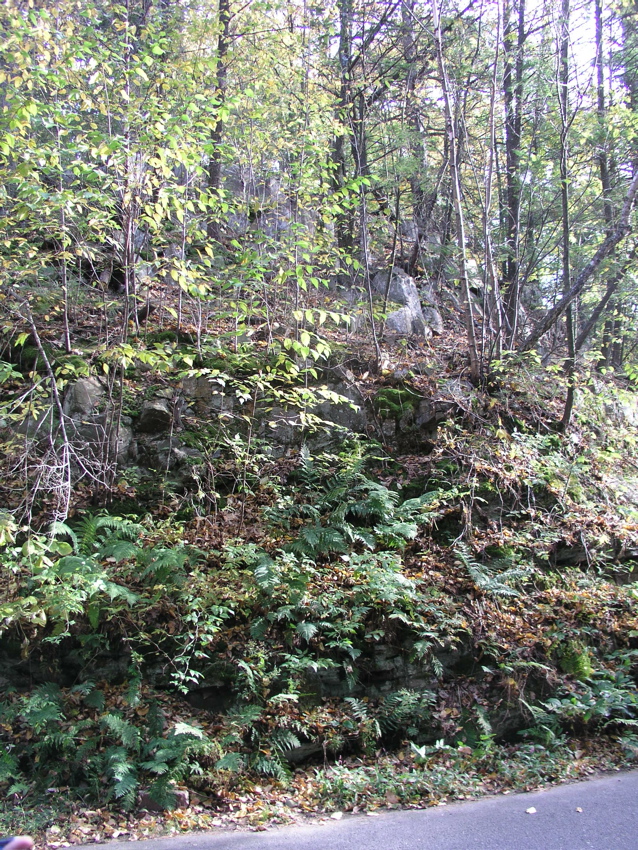 P1010006.JPG