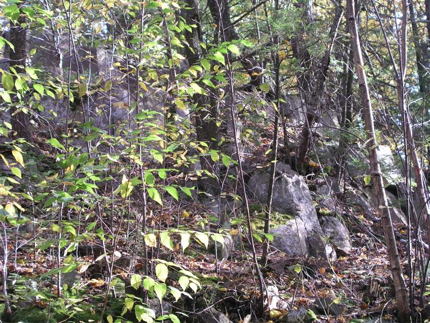 P1010007.JPG
