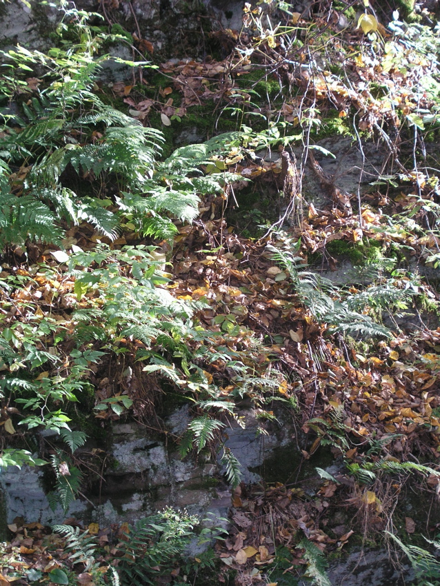 P1010008.JPG